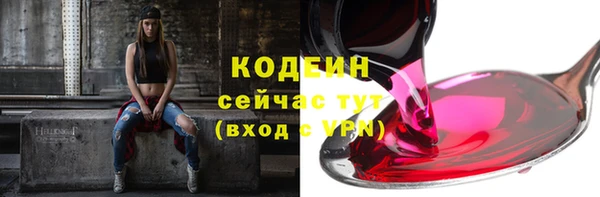 крисы Бородино