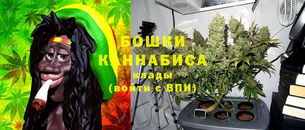 крисы Бородино