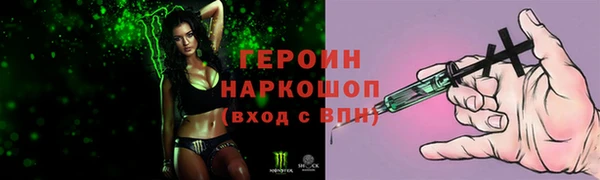 крисы Бородино