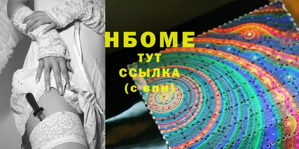 крисы Бородино