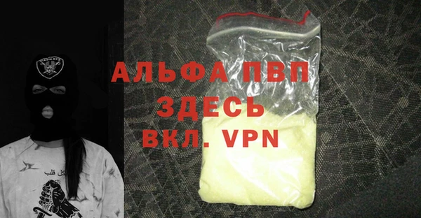 крисы Бородино