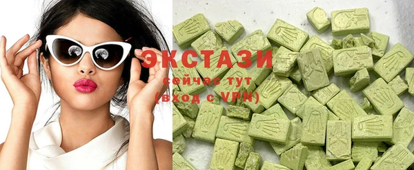крисы Бородино