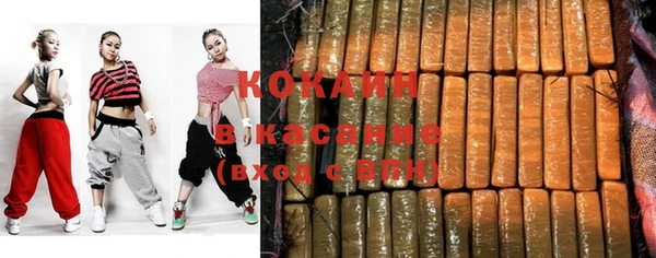крисы Бородино