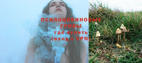 крисы Бородино