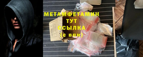 крисы Бородино