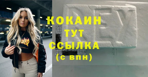 крисы Бородино