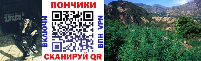 даркнет сайт  Фёдоровский  Конопля марихуана 